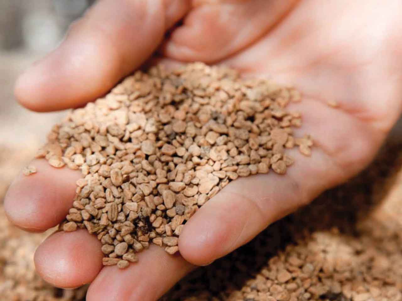 OLIVE POMACE PELLET: THE BIOFUEL WITH A THOUSAND RESOURCES 1